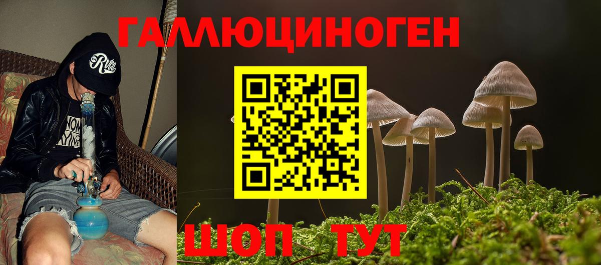 Псилоцибиновые грибы мицелий Новозыбков